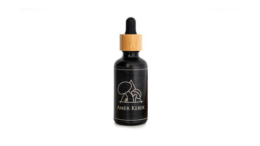 Amer Kebek Wild Mushroom Bitters — Lithologie