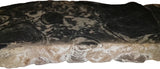 Morceau de stromatolite (corail) vieux de 1.8 milliards d'années